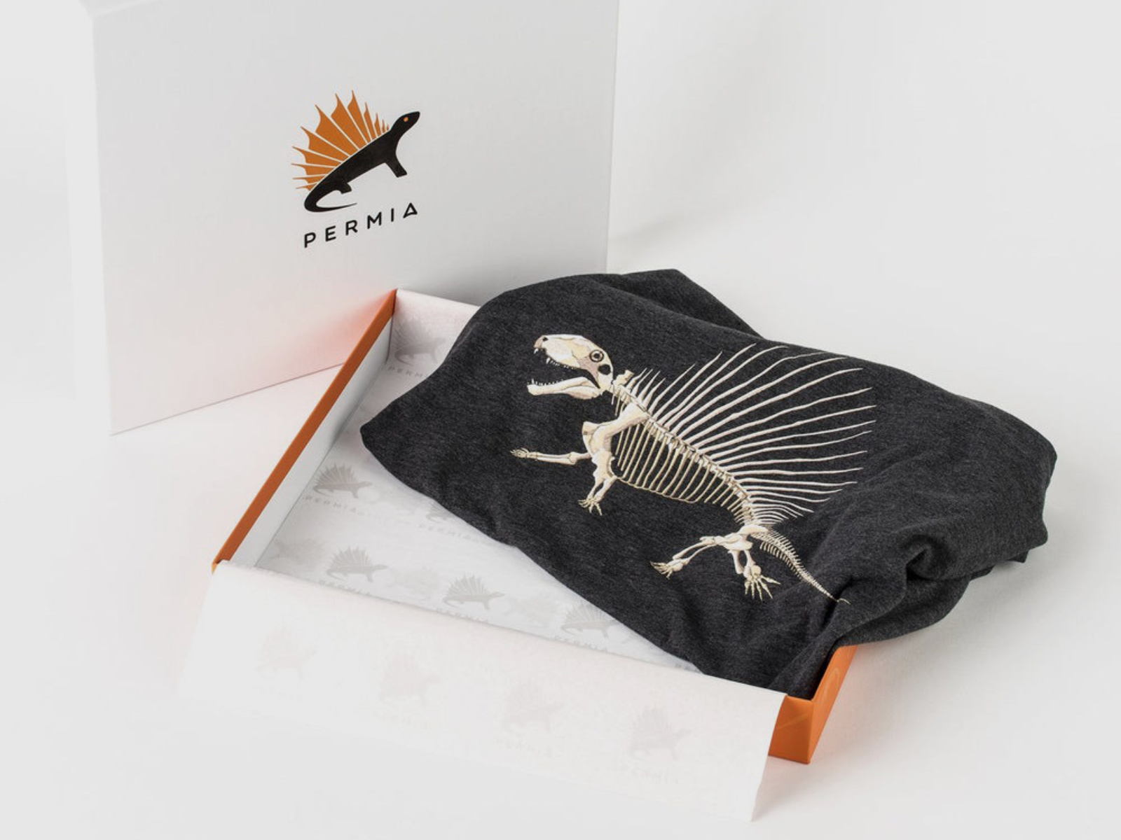 Gift Box and Logo