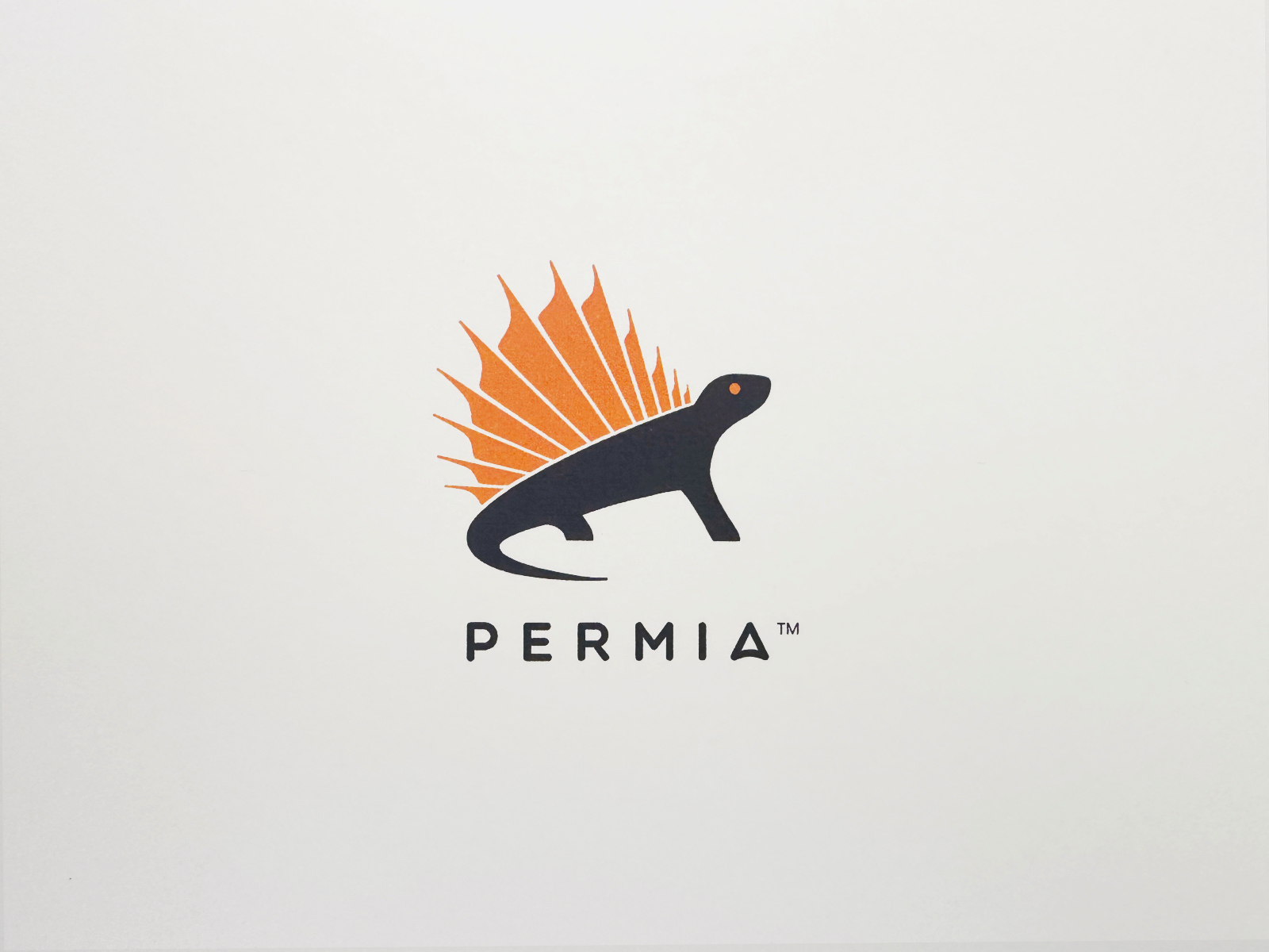 Permia logo